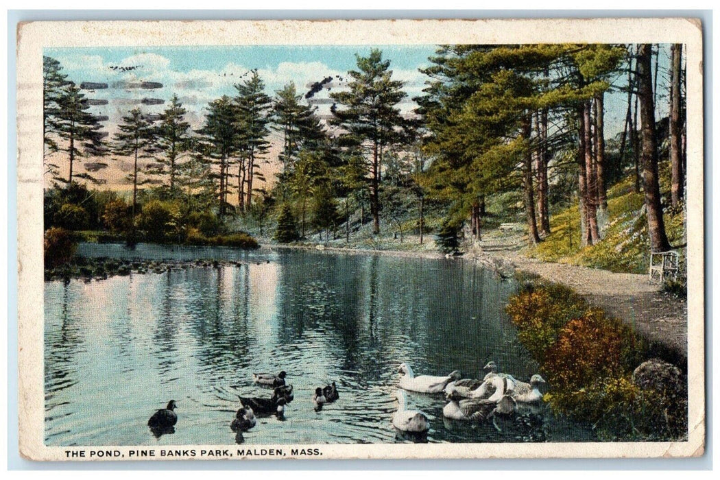View Of The Pond Pine Banks Park Ducks Malden Massachusetts MA Vintage Postcard