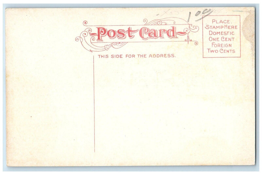 c1910 Pavilion Waterfront White Bear Lake Canoe Dock St. Paul Minnesota Postcard