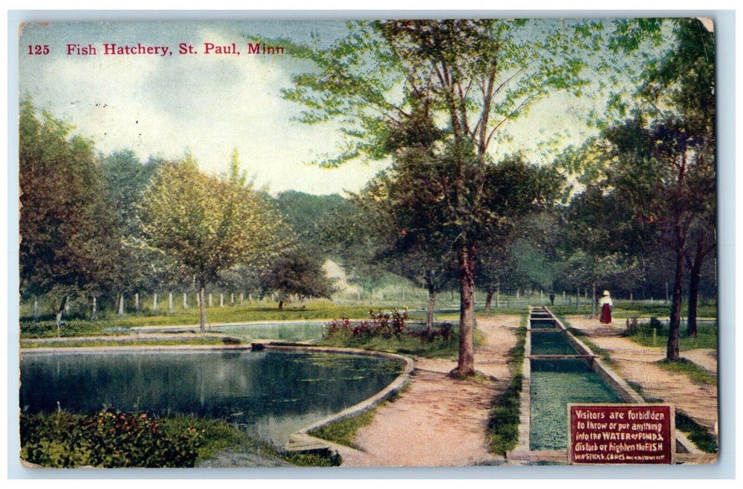 1910 Fish Hatchery Pond Canal Creek Signage Park St. Paul Minnesota MN Postcard
