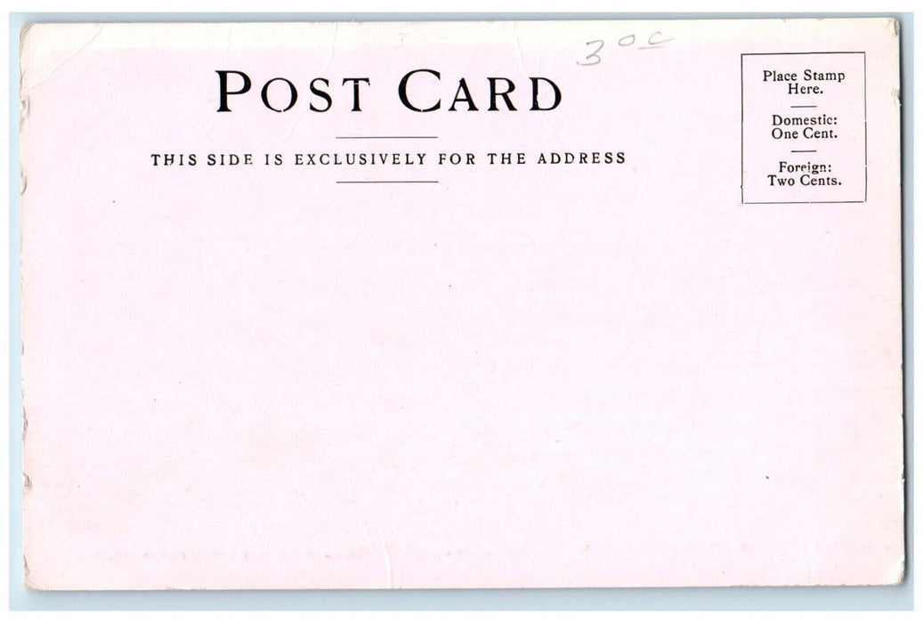 c1905 Aerial View River Lake High Bridge St. Paul Minnesota MN Gibson Postcard