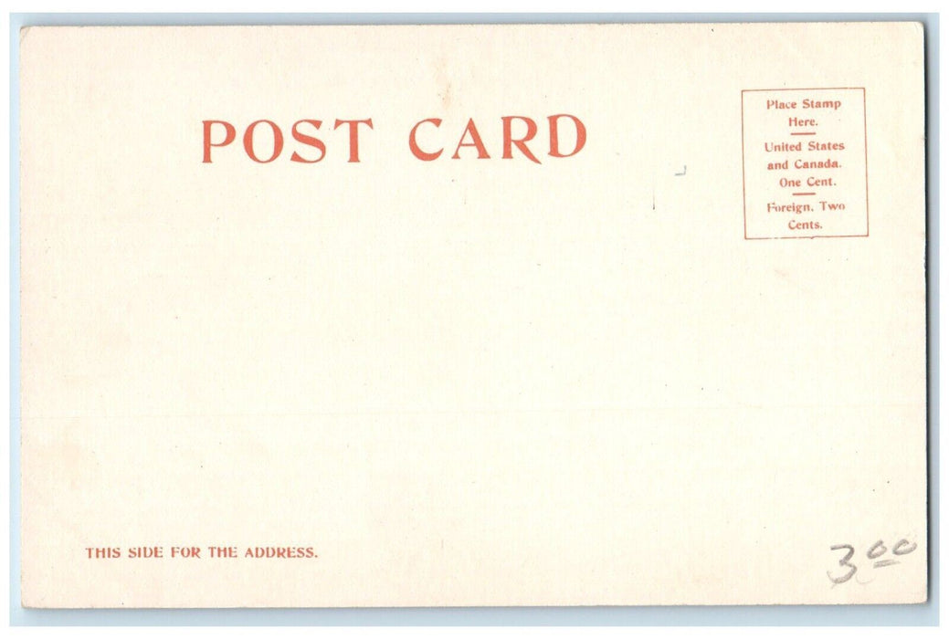 c1905 Foot Jackson Street Steamer Ferry Dock Pier St. Paul Minnesota MN Postcard
