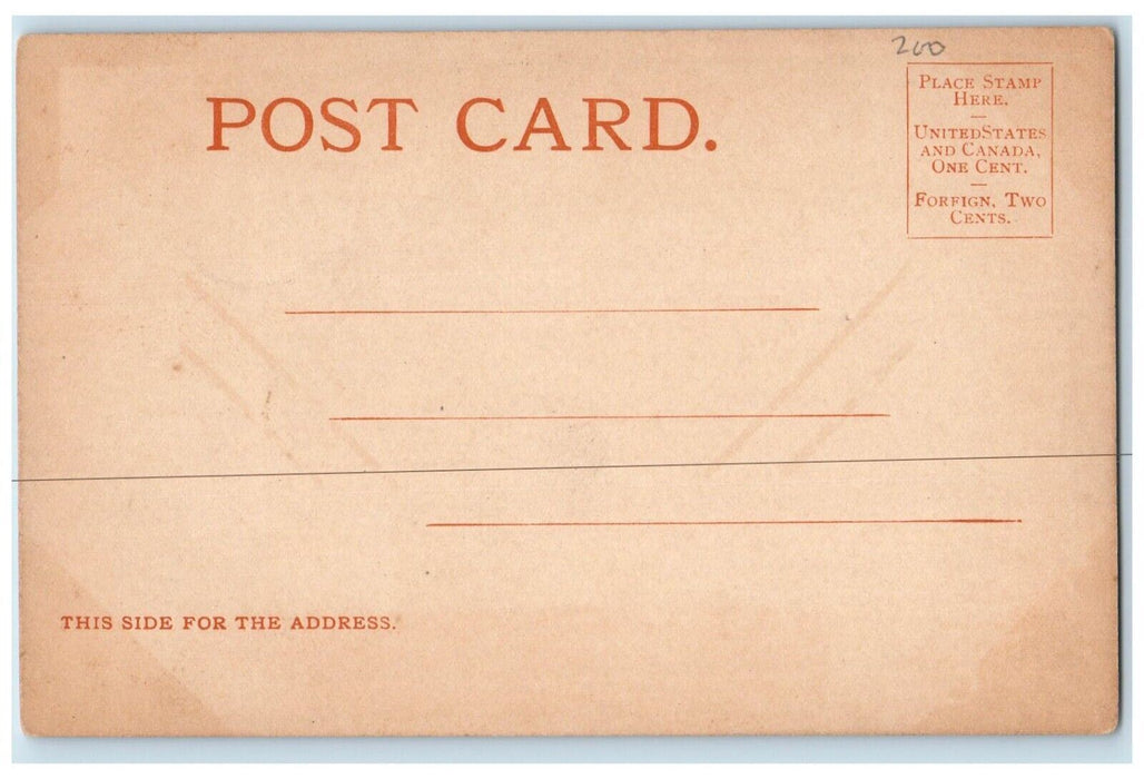 c1905 Levee Park Steamer Dock Pier Exterior Building Winona Minnesota MNPostcard