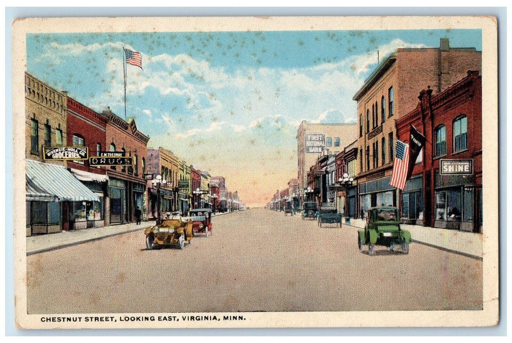 c1920 Chestnut Street Looking East Classic Car Store Virginia Minnesota Postcard