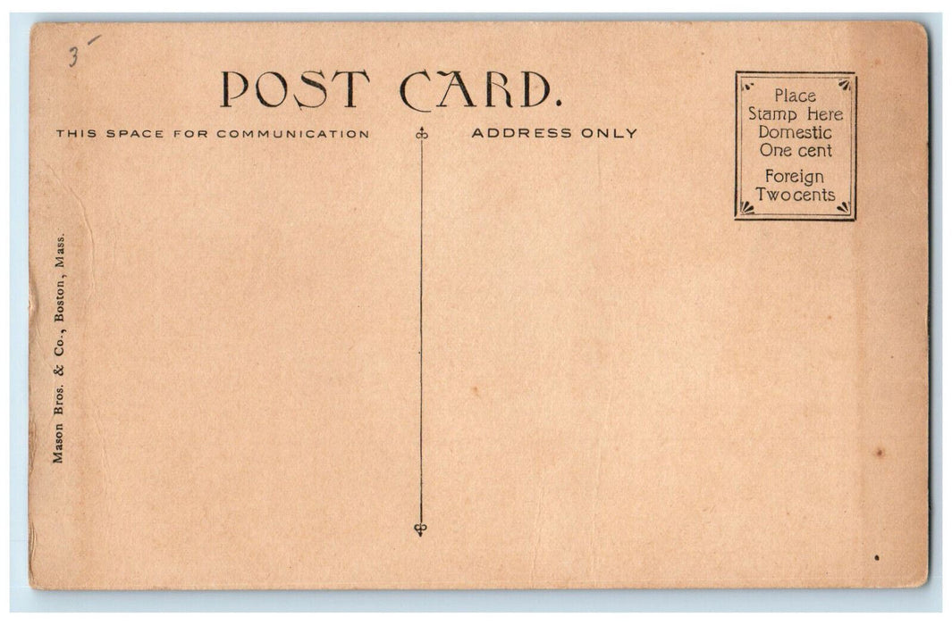 Ladies Home Building Tree-lined Scene Springfield Massachusetts MA Postcard