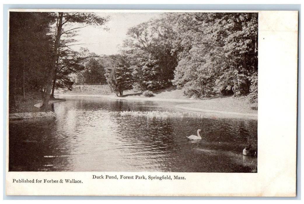 View Of Duck Pond Forest Park Springfield Massachusetts MA Antique Postcard