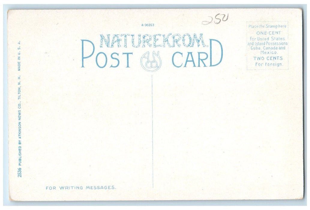 c1910 Weirs Interlake Park Lake Winnipesaukee New Hampshire Naturekrom Postcard