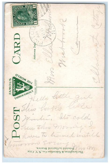 Hunter Hunting In Maine Woods Pictou Nova Scotia Canada Antique Postcard