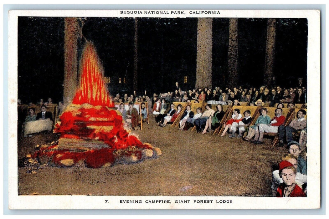 1948 Evening Campfire Giant Forest Lodge Entertainment Night California Postcard