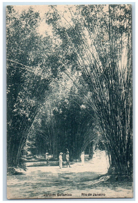 c1940's Jardim Botanico Rio De Janeiro Brazil Unposted Vintage Postcard