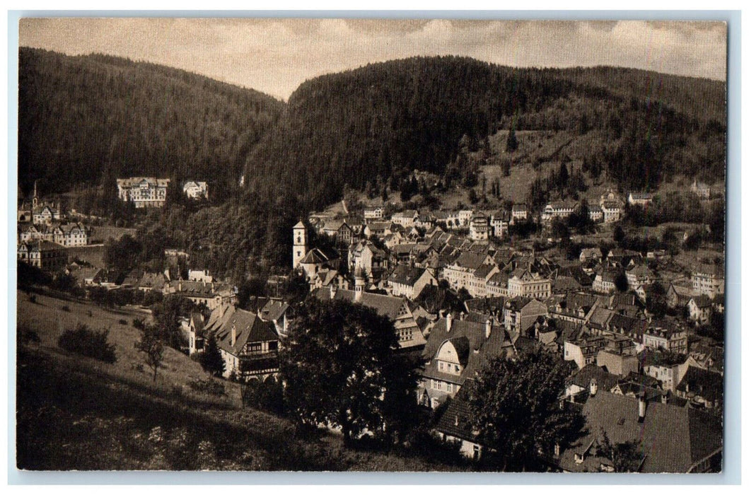 c1910 Aerial View of Houses in Triberg Baden-Württemberg Germany Postcard