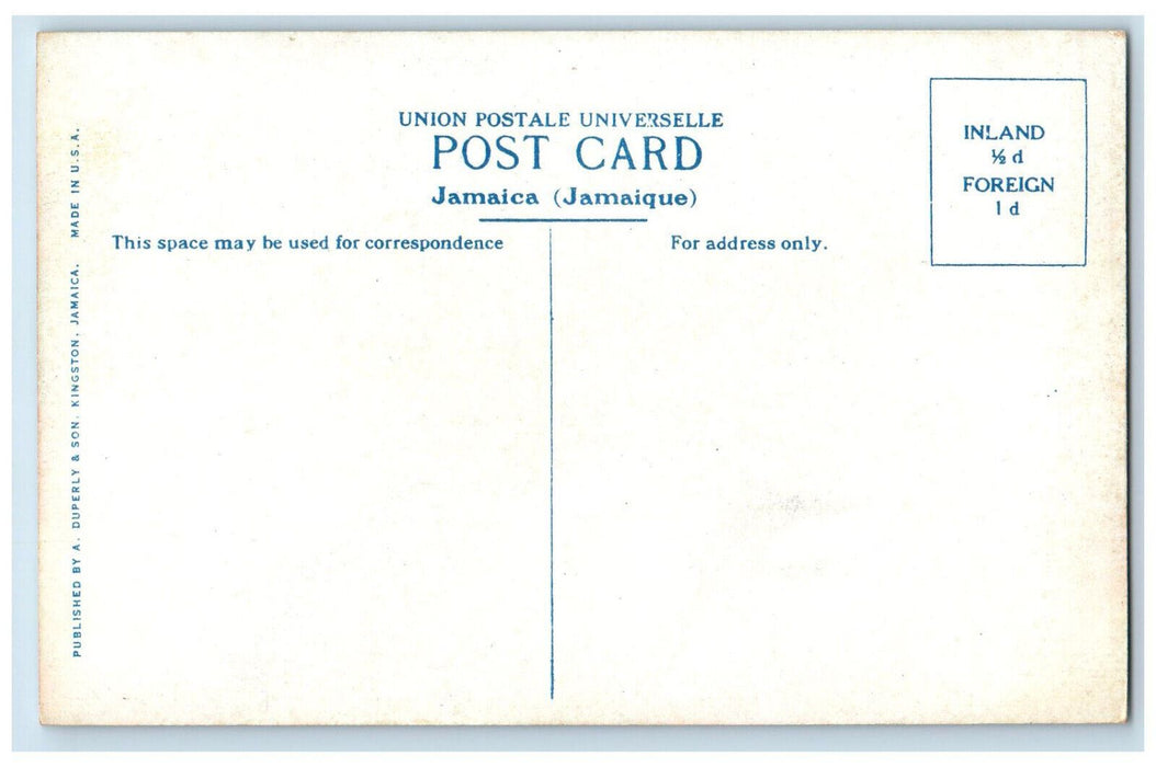 c1910 Brandon Hill Road to Castleton Jamaica Antique Unposted Postcard