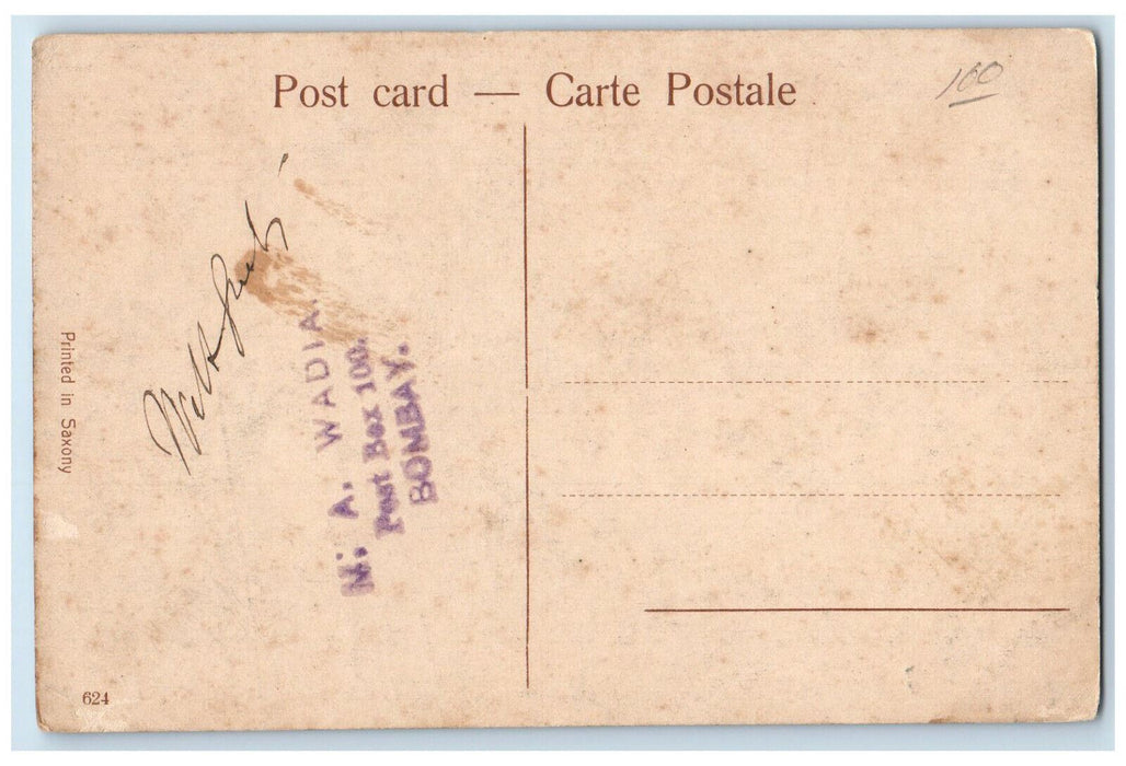 c1910 View of Curzon Gardens Calcutta India Antique Unposted Postcard