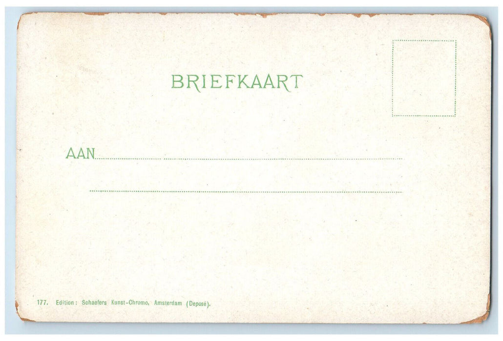 c1905 Vijverberg s'Gravenhage South Holland Netherlands Unposted Postcard