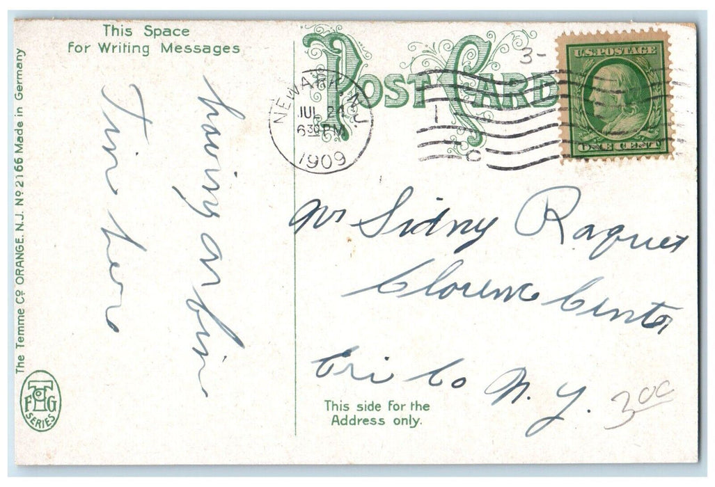 1909 Scenic View Clifton Park Avenue Newark New Jersey Vintage Antique Postcard