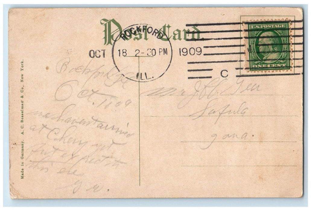 1909 East State Street Fritz Stores Building View Rockford Illinois IL Postcard