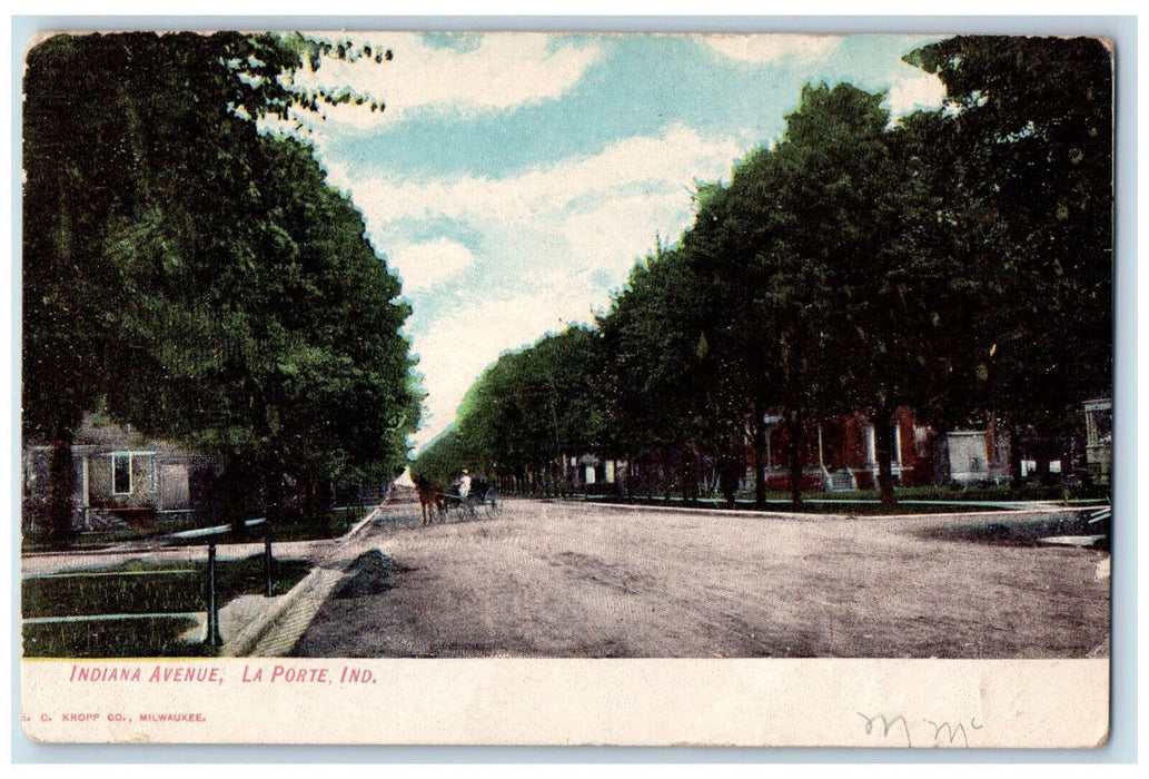 Dirt Road Tree-lined Scene Indiana Avenue La Porte Indiana IN Antique Postcard