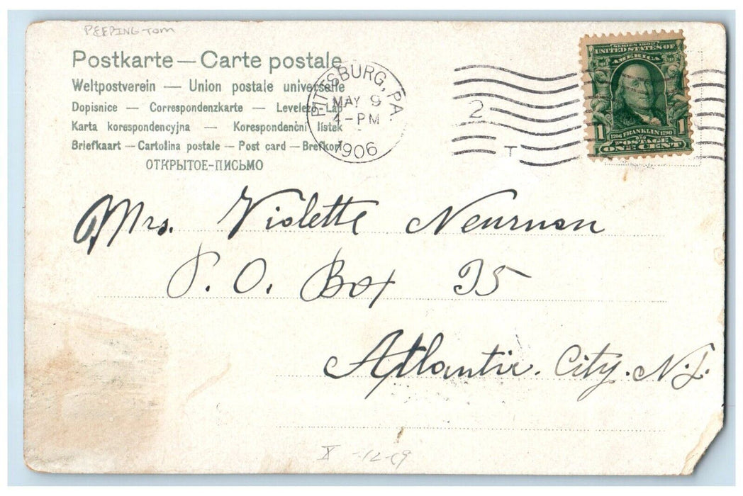 1906 Sweet Couple Kissing Romance Picnic Peeping Tom Pittsburg PA Postcard