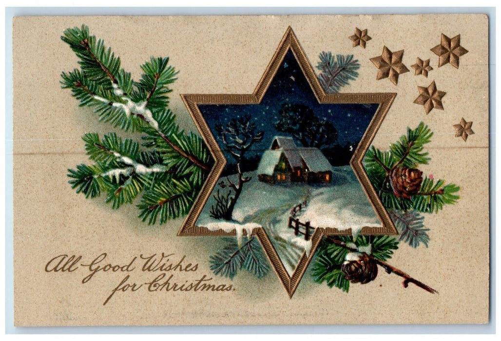 c1910's Christmas Star David Pine Cone House Winter Embossed Antique Postcard