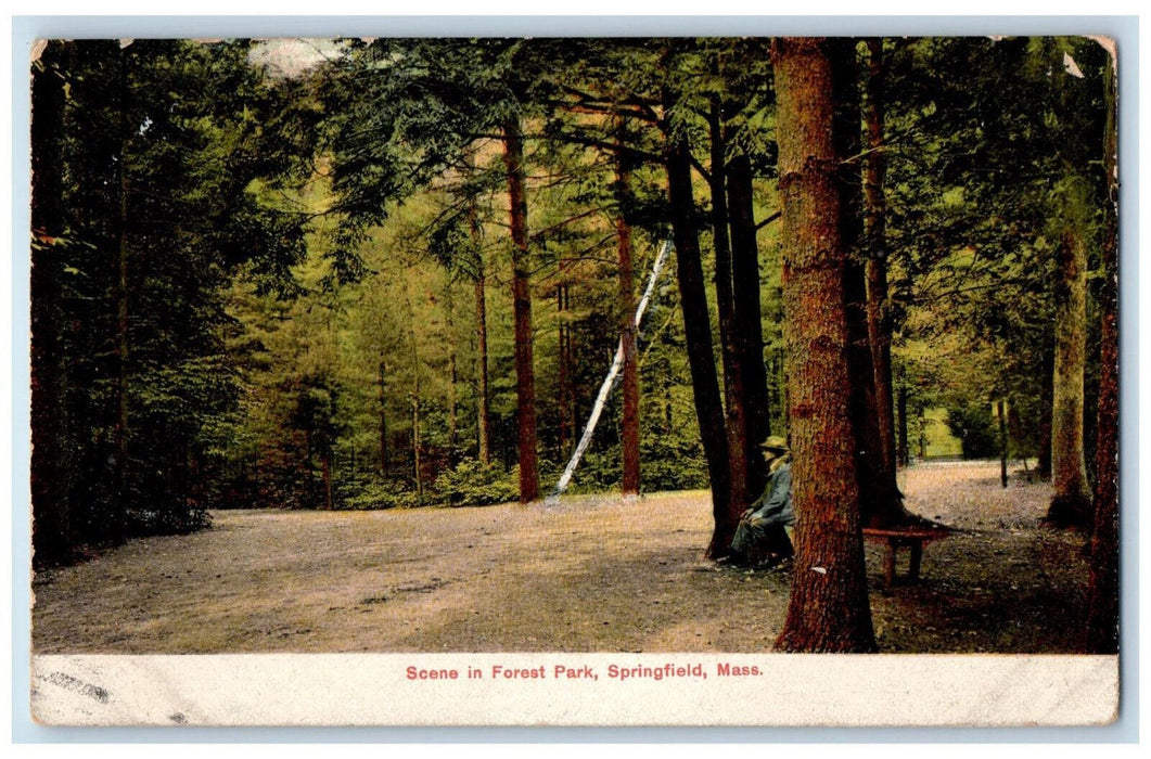 1909 Scene in Forest Park Springfield Massachusetts MA Antique Postcard