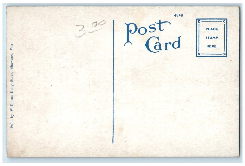 c1910's An Indian Burying Ground Cabin Shawano Wisconsin WI Antique Postcard