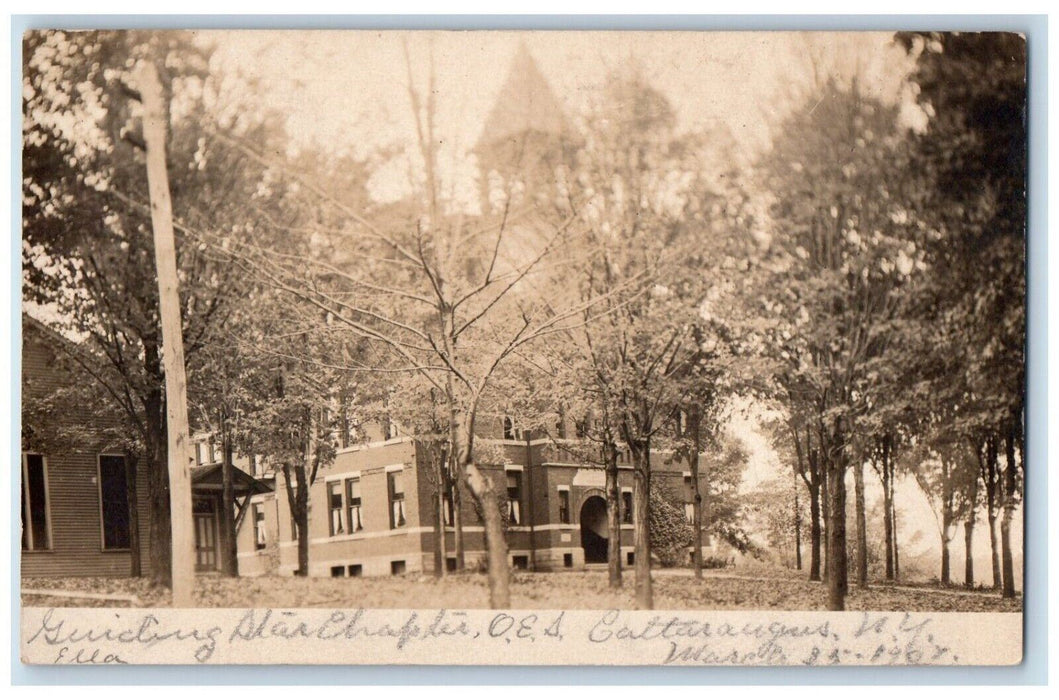 1907 View Of School And Trees Cattaraugus New York NY RPPC Photo Postcard