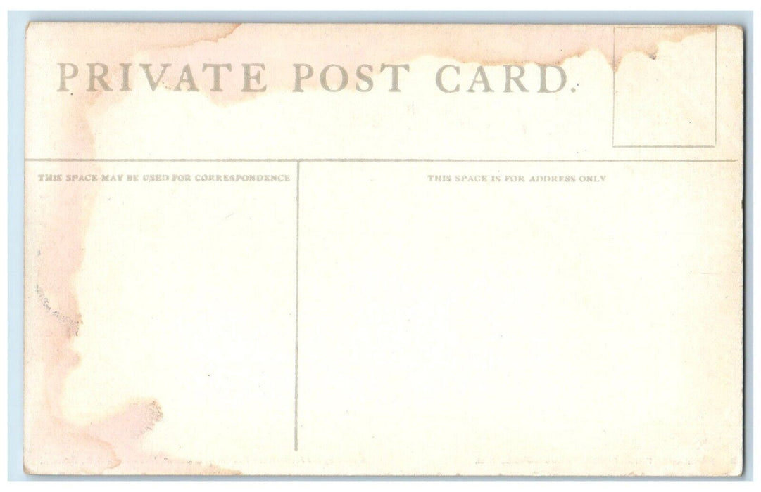 c1910's Parliament Buildings Fredericton New Brunswick Canada Antique Postcard