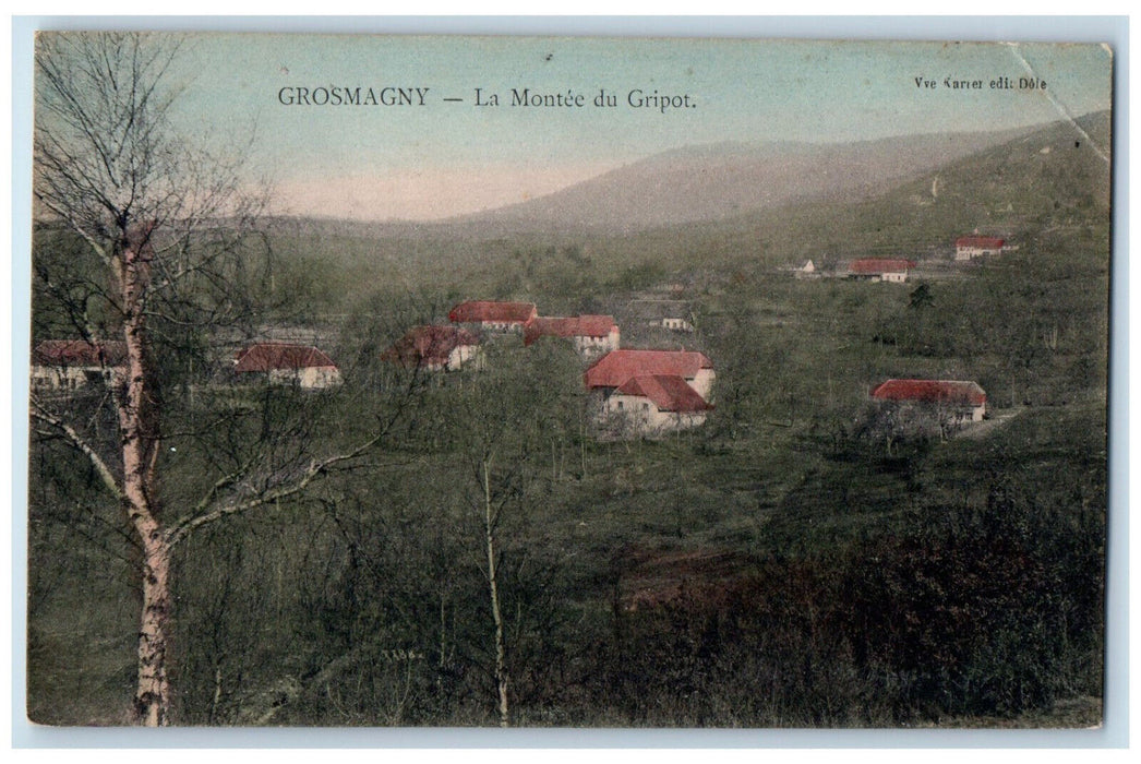 c1910 View of Grosmagny La Montée Du Gripot France Posted Antique Postcard