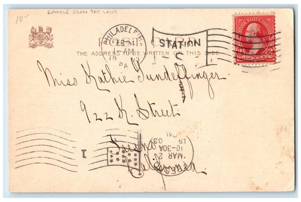 1903 Cattle Show Fat Lady Dress Red Purse Tuck's Philadelphia PA Posted Postcard