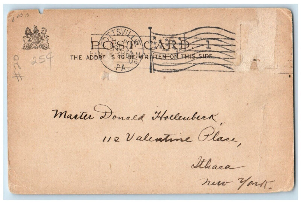 1906 Valentine Pretty Girl Dog Outcault Tuck's Pottsville PA Posted Postcard