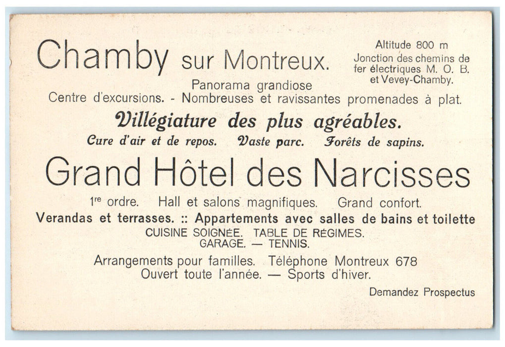 c1910 The Hotel Des Narcisses and the Dents Du Midi Switzerland Postcard