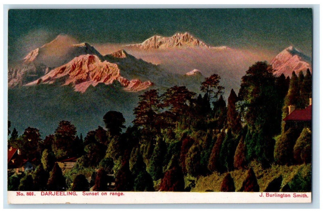 c1910's View Of Sunset On Range Topiary Plants Darjeeling India Antique Postcard
