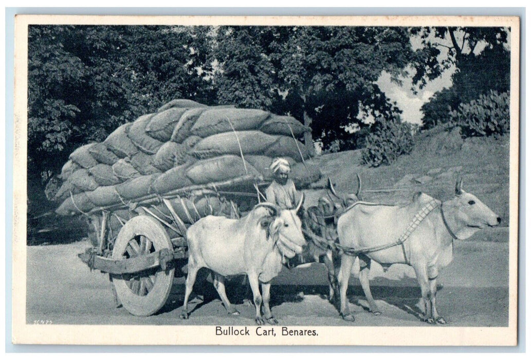 c1910's Bullock Cart With Sacks Benares India Unposted Antique Postcard