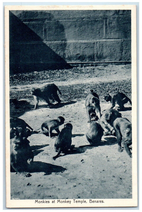 c1910's Monkies At Monkey Temple Benares India Unposted Antique Postcard