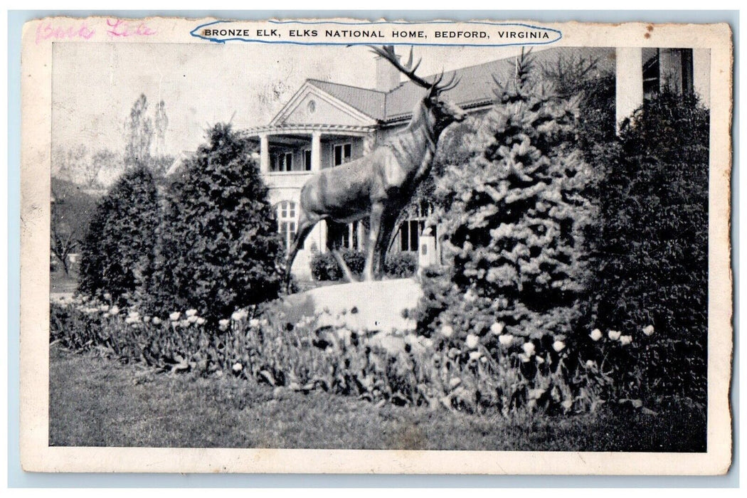 c1940 Bronze Elk Elks National Home Exterior Statue Bedford Virginia VA Postcard