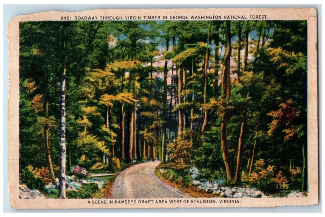 1938 Roadway Through Virgin Timber George Washington Staunton Virginia Postcard