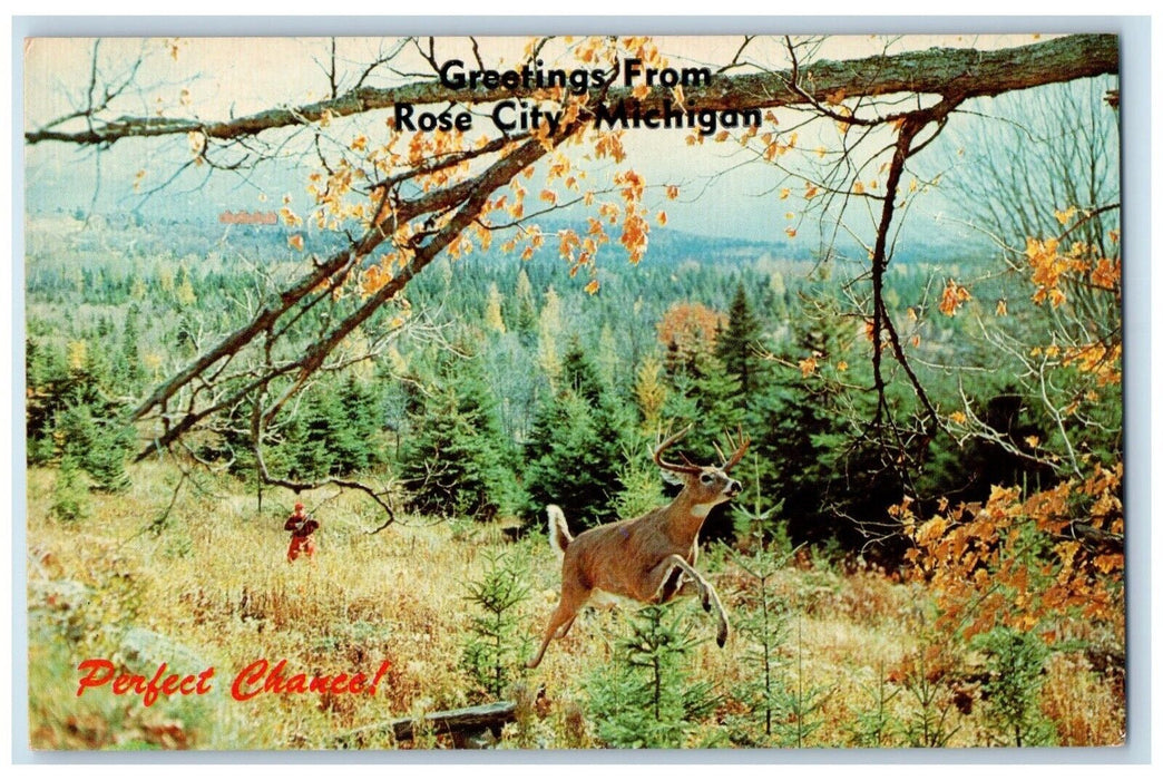 c1960 Greetings From Perfect Chance Deer Rose City Michigan MI Vintage Postcard