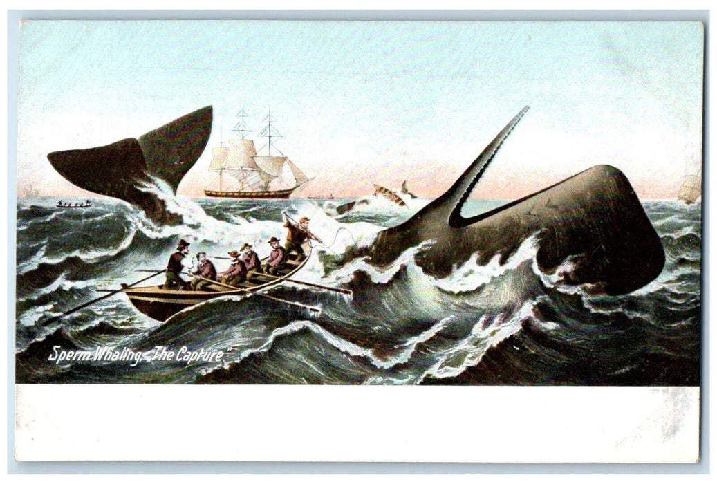 c1905 Sperm Whaling Capture Canoe Paddle New Bedford Massachusetts MA Postcard