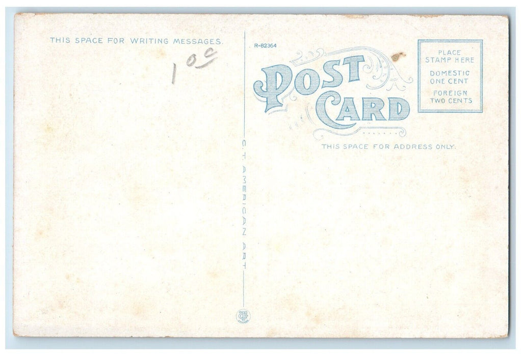 c1910 William Worrell Mayo Statue Public Park Rochester Minnesota MN Postcard