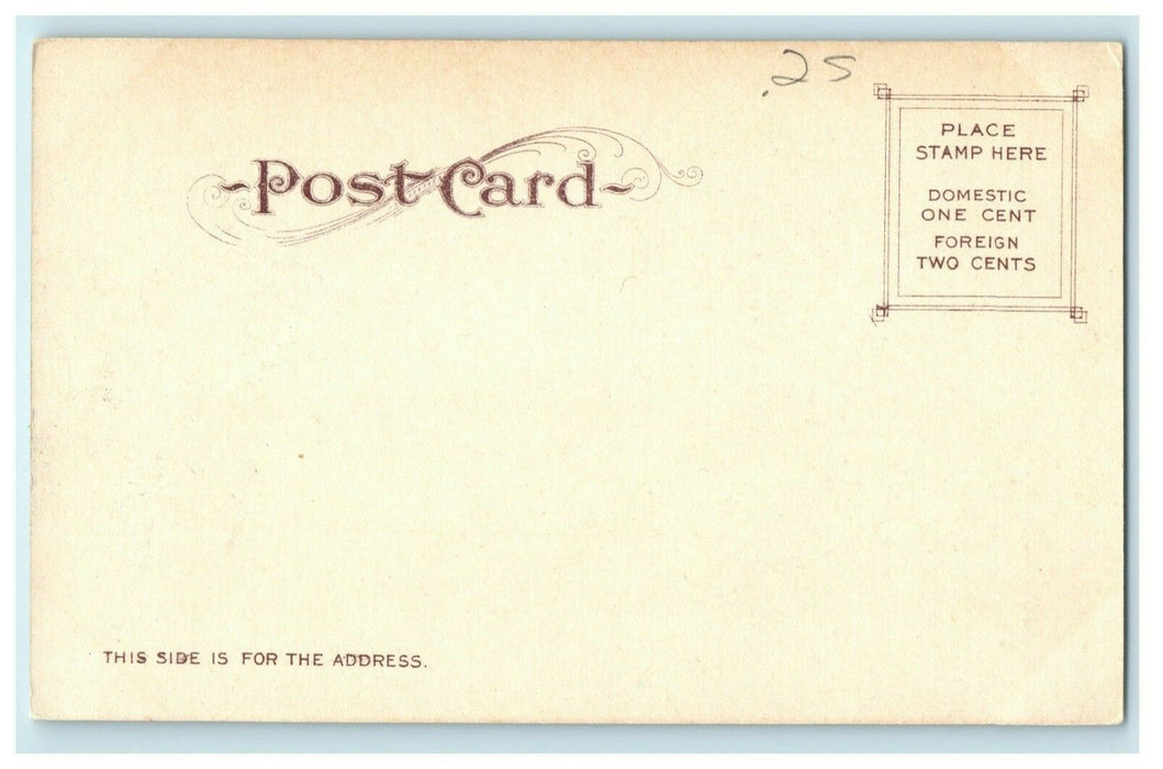 c1905 Sugar Loaf and Bay Catalina Island California CA Unposted Antique Postcard