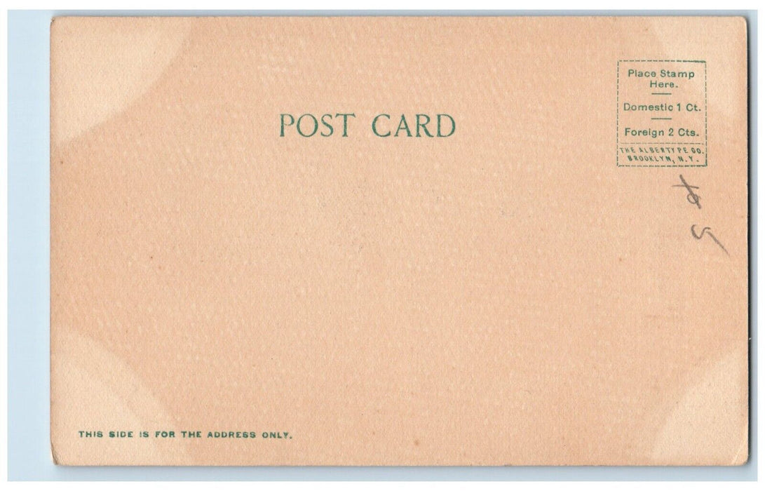 c1905 Castle Rock Santa Barbara California CA, Beach Surf Wave View Postcard