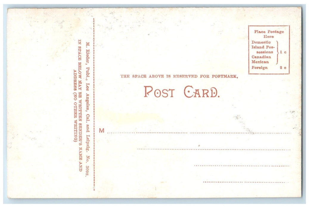Santa Barbara California CA, From Hill Back Of The Bath House Antique Postcard
