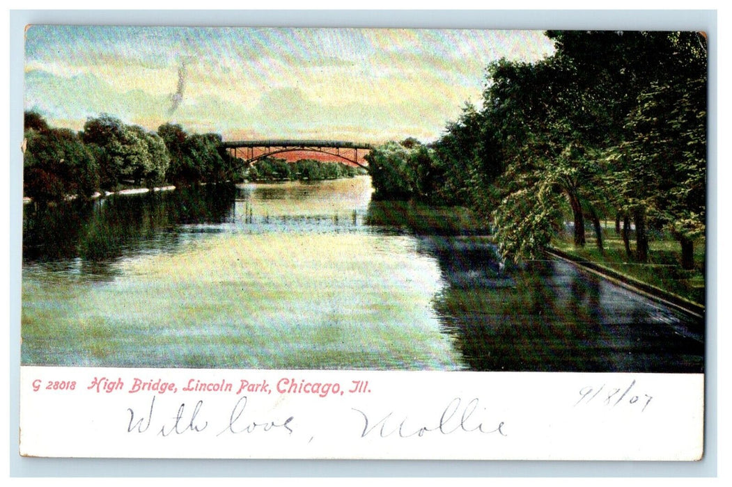 View Of High Bridge Lincoln Park Chicago Illinois IL Rotograph Antique Postcard