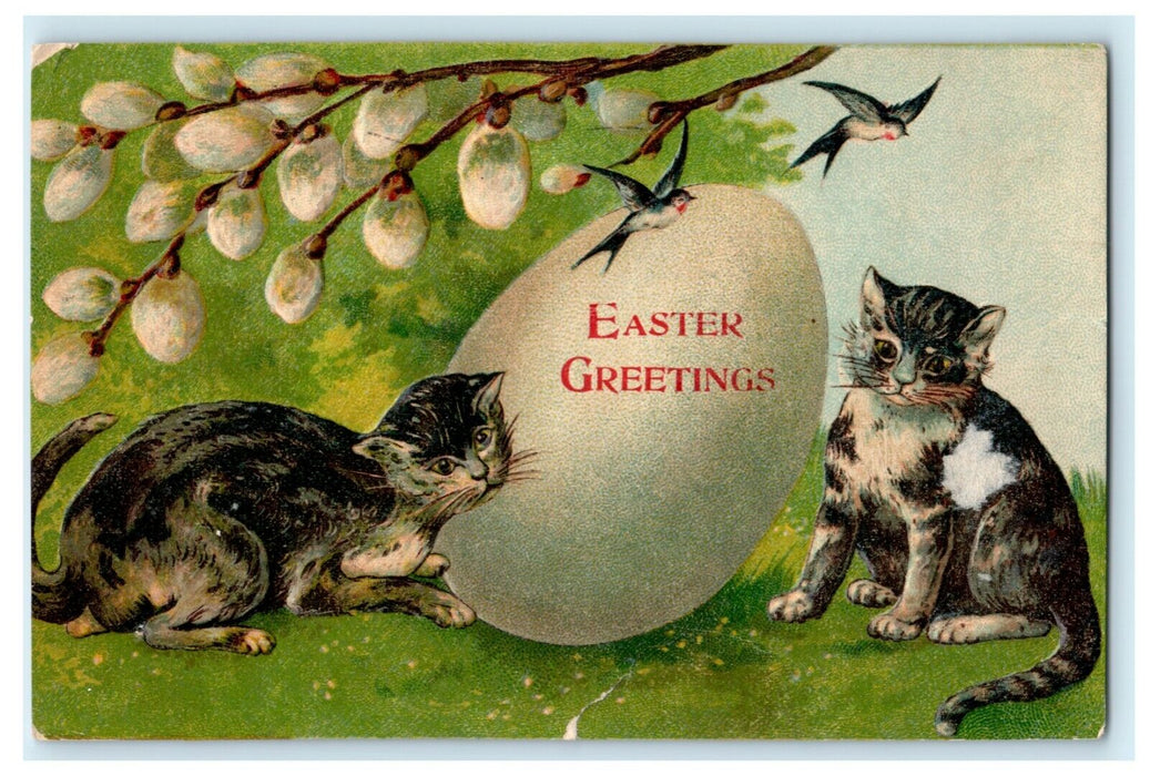 1911 Easter Egg Cats Kittens Willow Birds Denver Colorado CO Antique Postcard