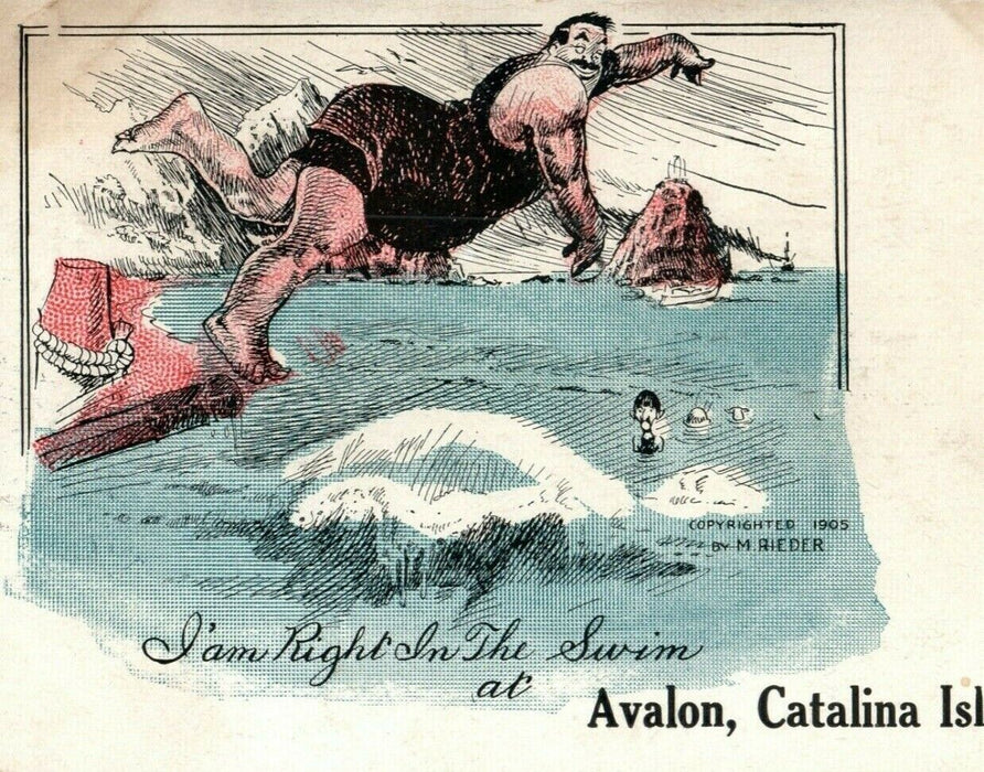 1905 Swimmer Comic Avalon Catalina Island California CA Posted Antique Postcard