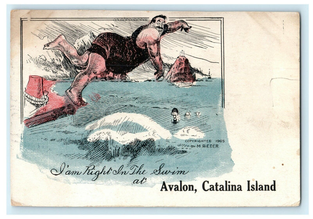 1905 Swimmer Comic Avalon Catalina Island California CA Posted Antique Postcard