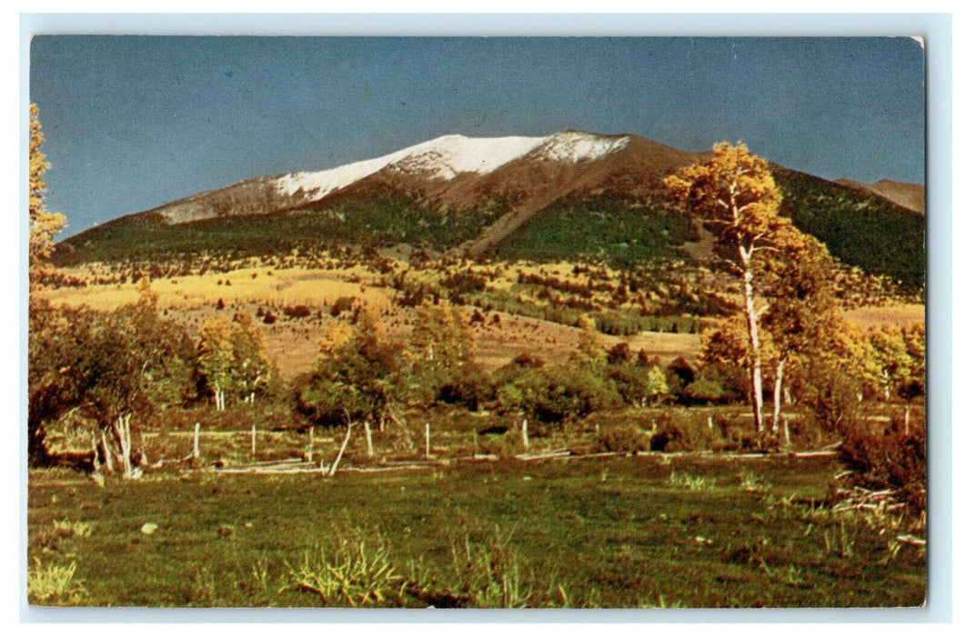 c1960's San Francisco Peak Flagstaff Arizona AZ Vintage Postcard