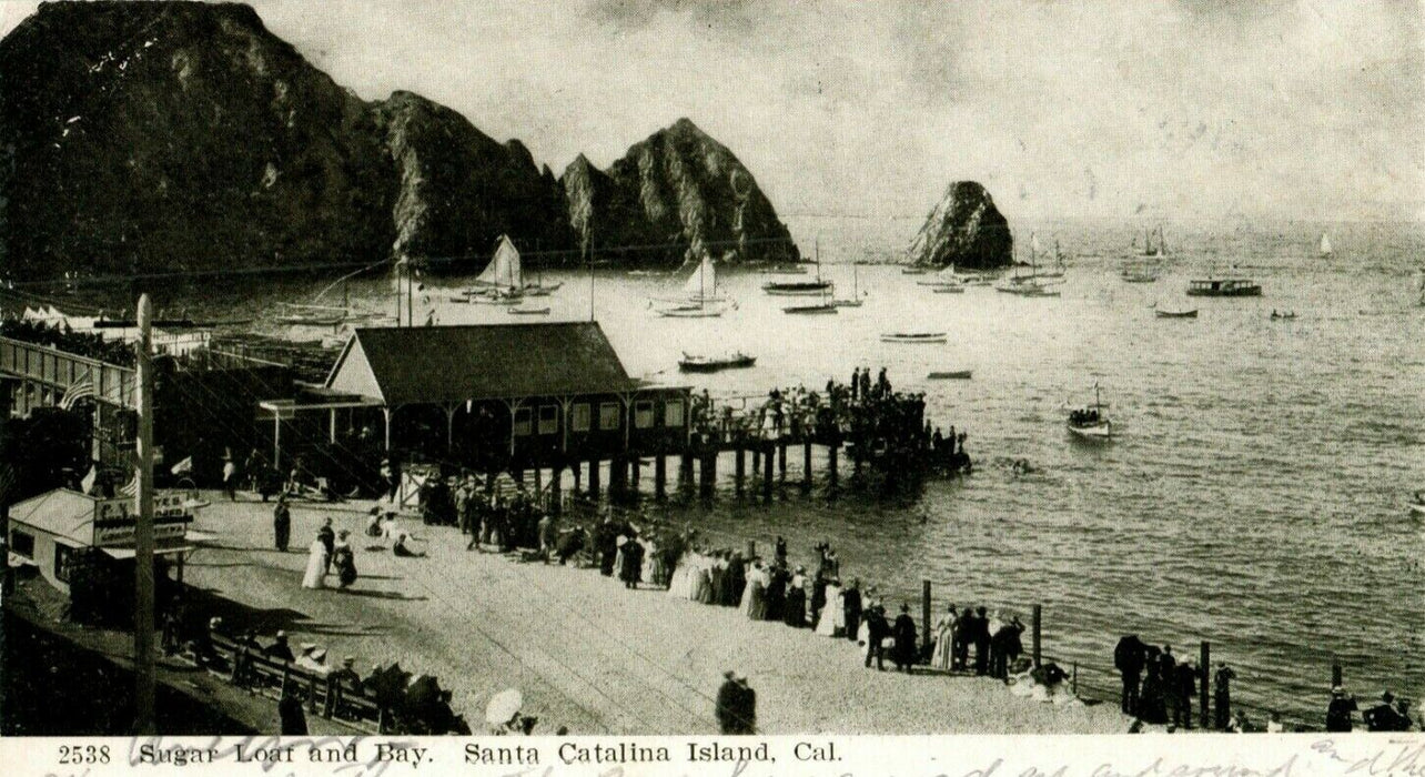 1906 Sugar Loaf and Bay Catalina Island California CA Unposted Antique Postcard