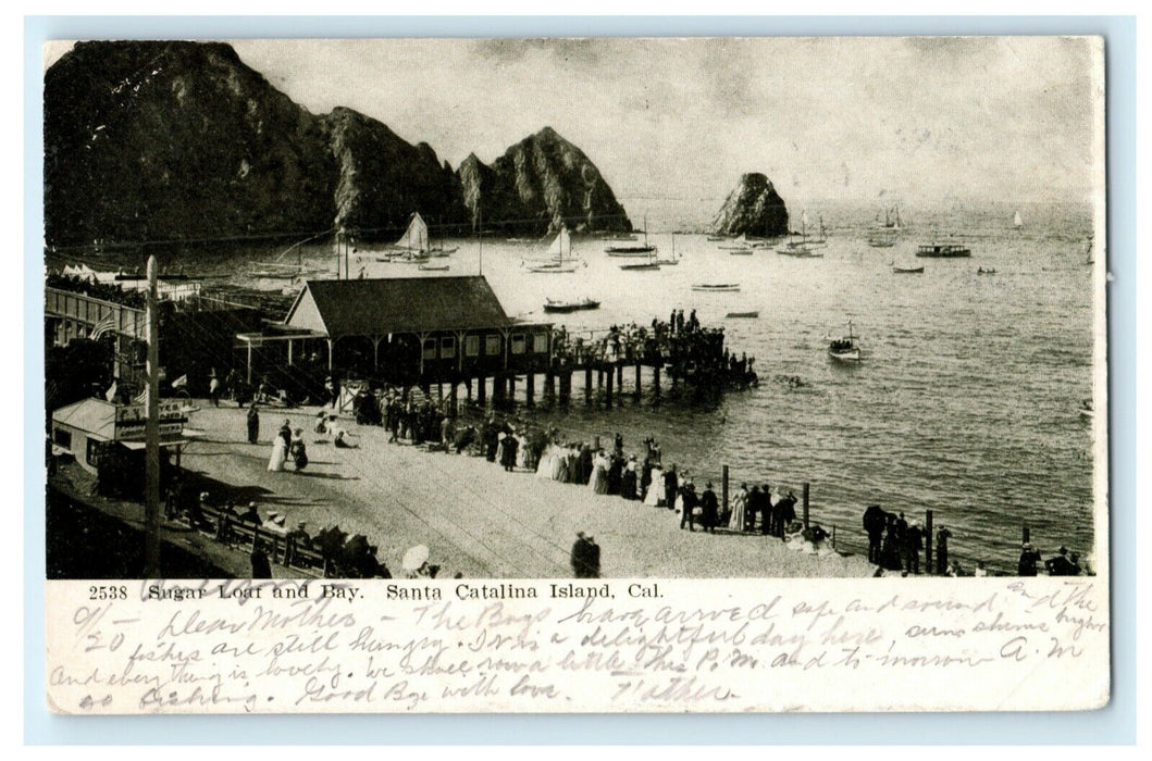 1906 Sugar Loaf and Bay Catalina Island California CA Unposted Antique Postcard