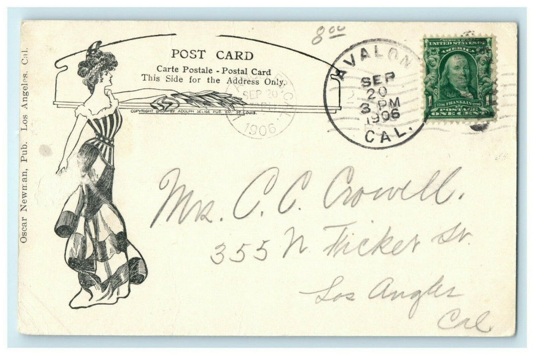 1906 Sugar Loaf and Bay Catalina Island California CA Unposted Antique Postcard