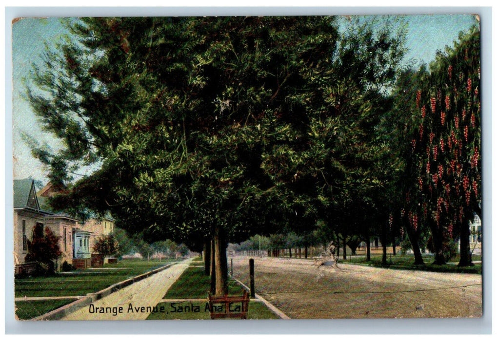 1911 Orange Avenue Dirt Road Santa Barbara California CA Posted Antique Postcard